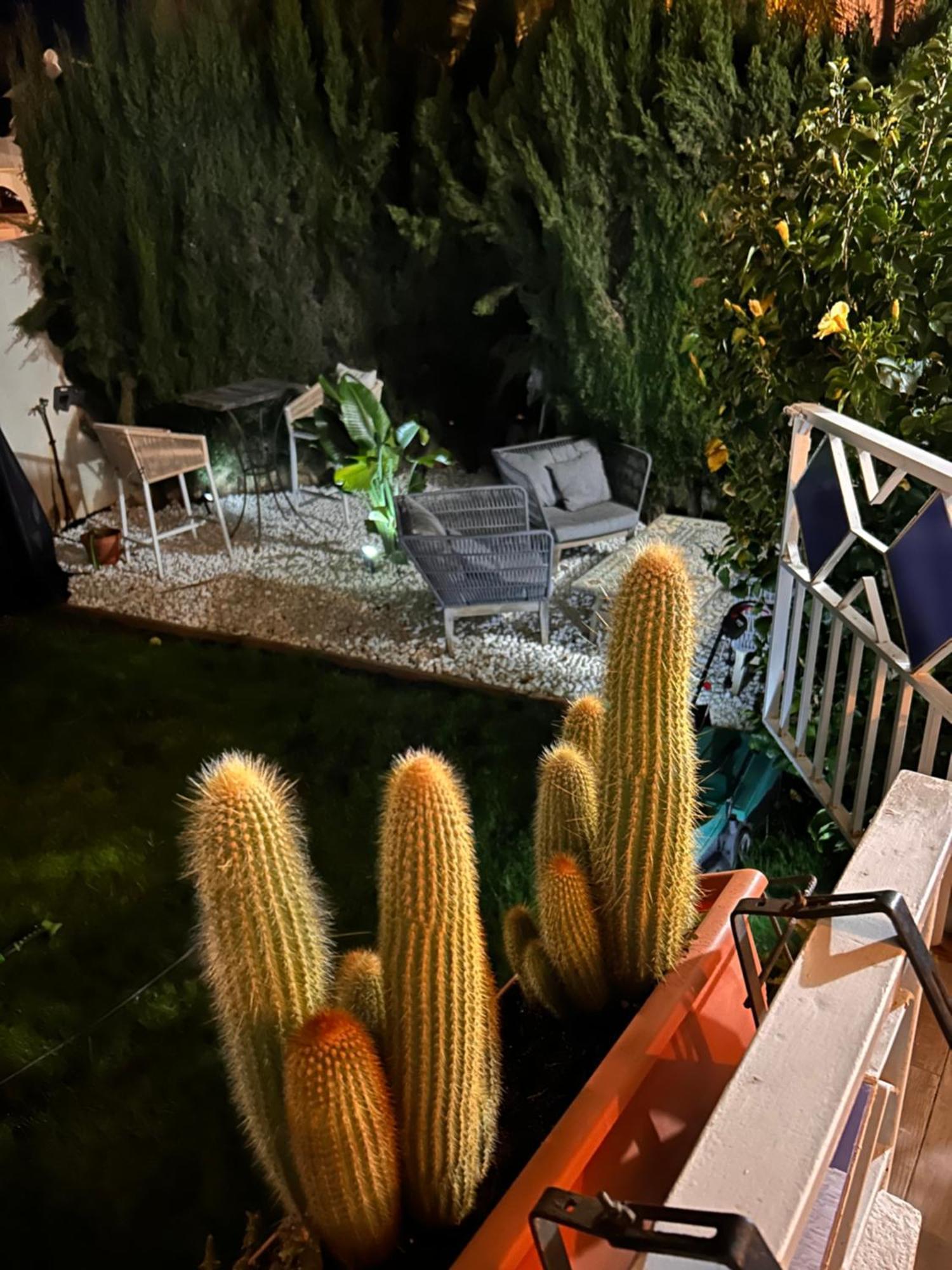 Apartamento Con Encanto Cerca De La Playa El Rosario 마르베야 외부 사진